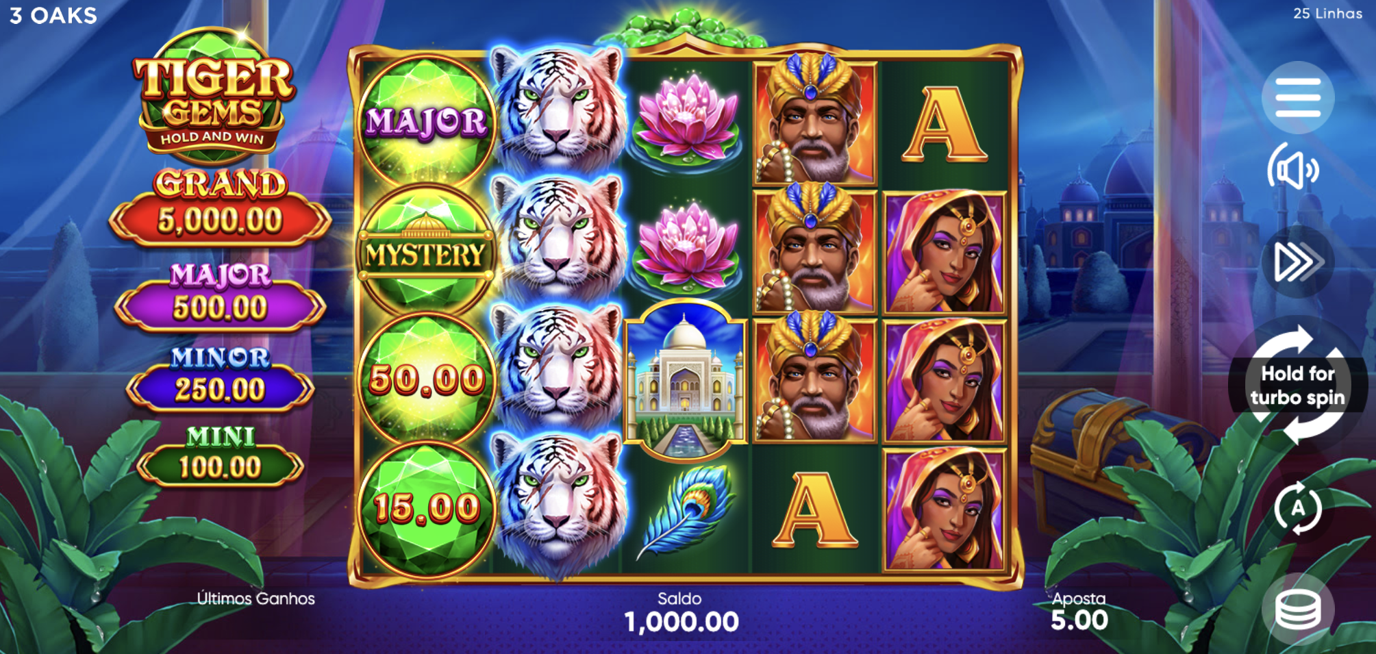 Tiger Gems Slot