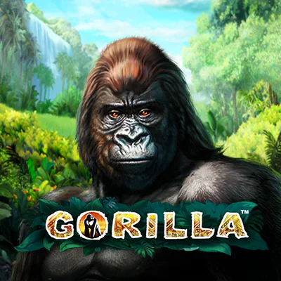 Gorilla Slot